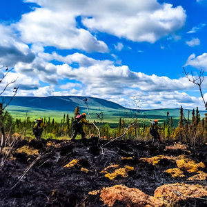 Meet your Posher, Joe